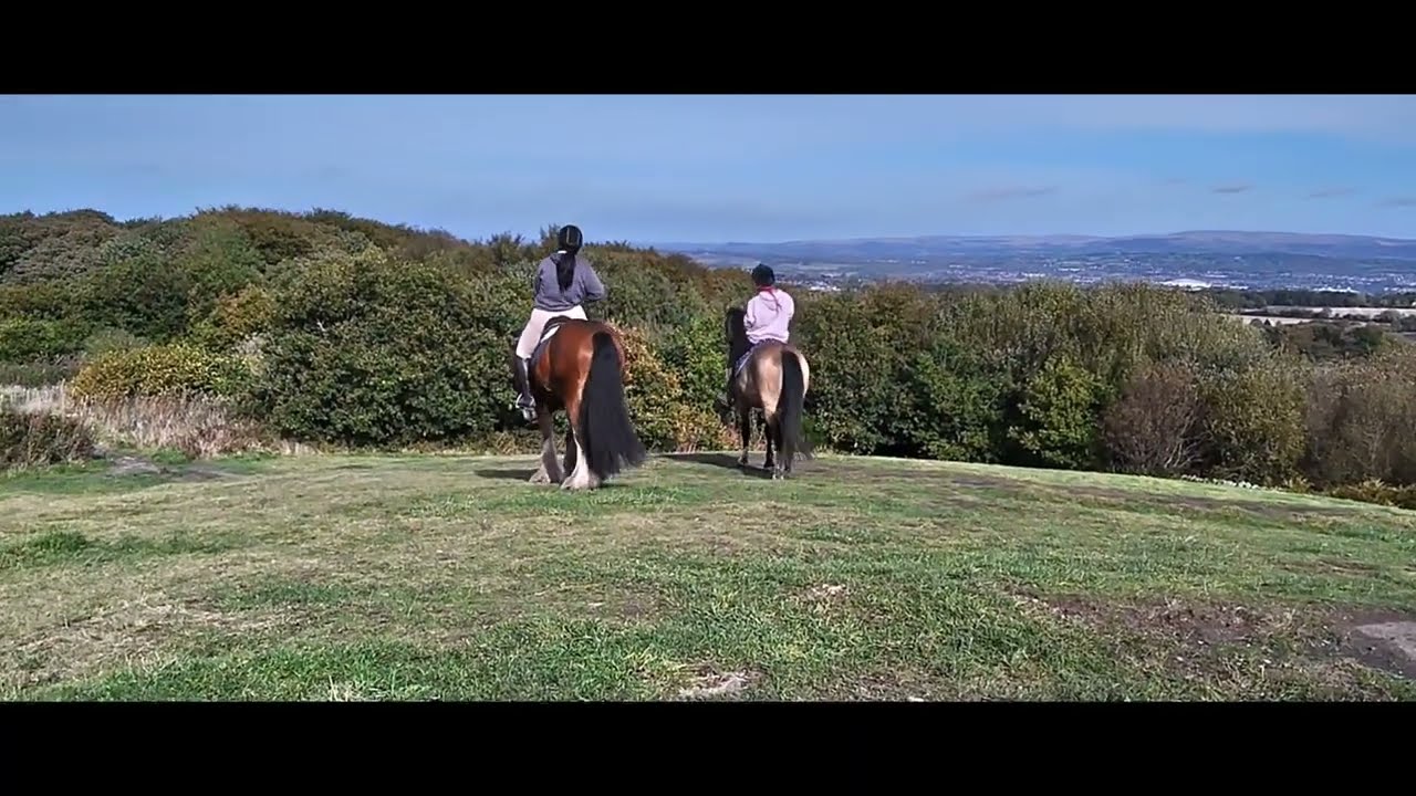 Merseyside Nature 15 Horses Billinge Hill 2022