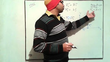 I. E. Irodov Q-1.236