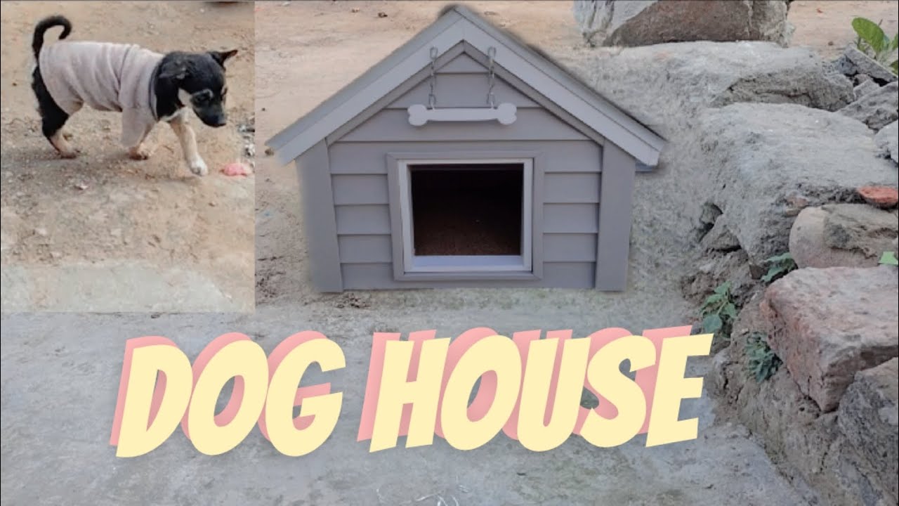 Finally puppy🐶 ka new dog house🏡 ban gaya🐾
