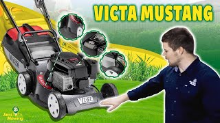 What mower should you use for regular mowing?