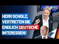 Herr Scholz, vertreten Sie endlich deutsche Interessen! - Alice Weidel - AfD-Fraktion im Bundestag