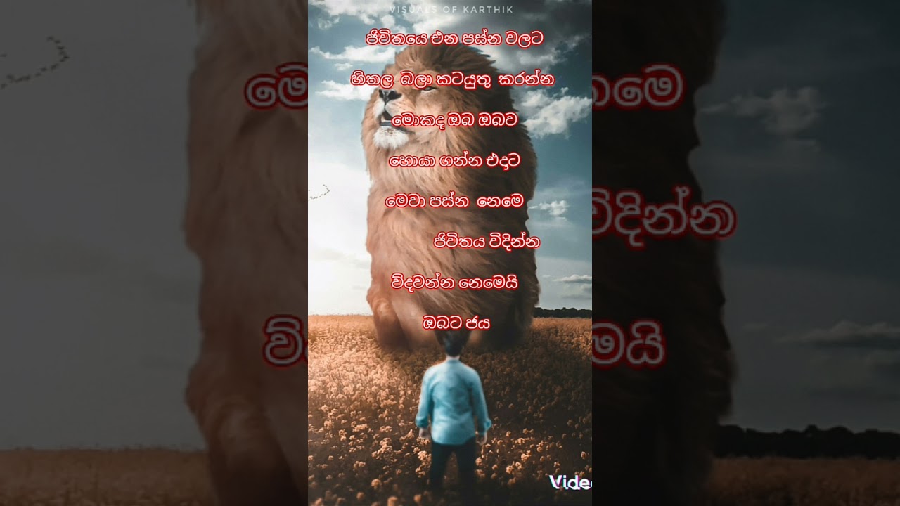 Noty danuwa 😀😍