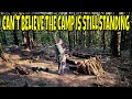 REVISITING OLD CAMP LOCATIONS AND SHELTER BUILDS ONE YEAR ON