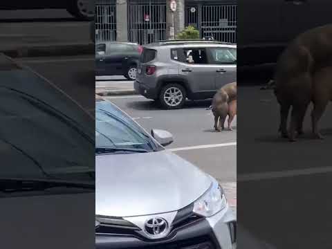 o amor as vezes não tem limites nem lugar