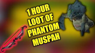 OSRS 1HR loot from Phantom Muspah maxed range gear