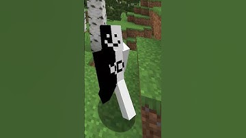 Minecraft, But Jumping Gives RANDOM EFFECT...