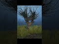 А ты знал, эту отсылку в игре S.T.A.L.K.E.R. 2: Heart of Chornobyl?