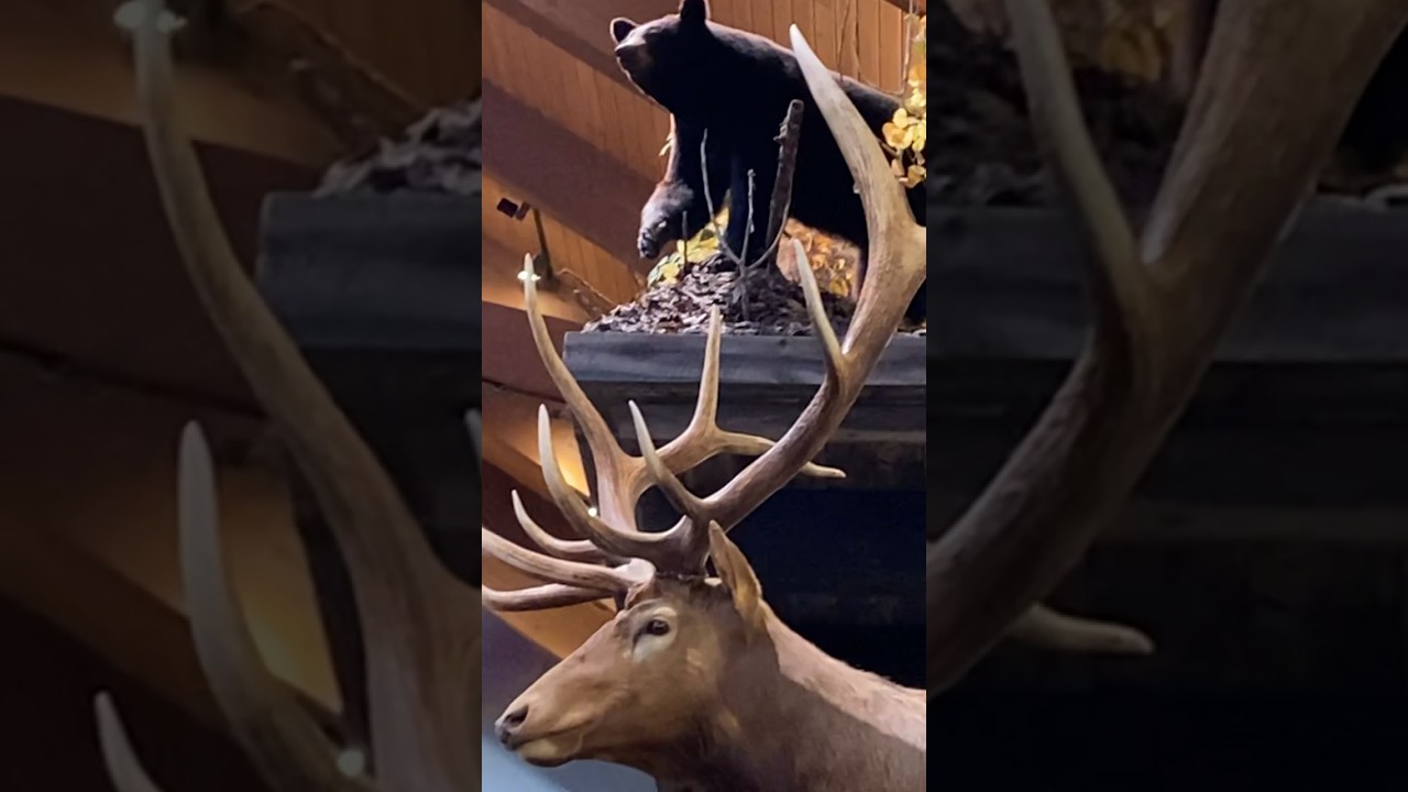 Deer head wall mount 