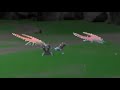 【ポケモンSV】慎重に...慎重に....ああああああああああ！！