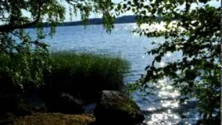 Black Tear - Mortifera