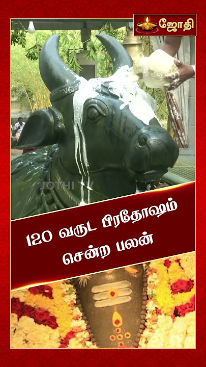 120 வருட பிரதோஷம் சென்ற பலன் | சனி பிரதோஷம் | Sani maha pradosham 2024 | Nandhi Valipadu | Jothitv