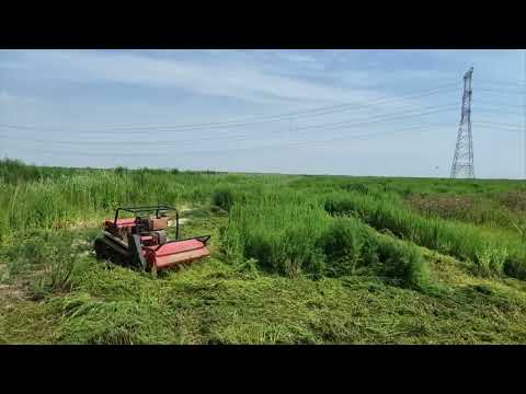 MERI remote control mower clearing tall grass on rough terrain
