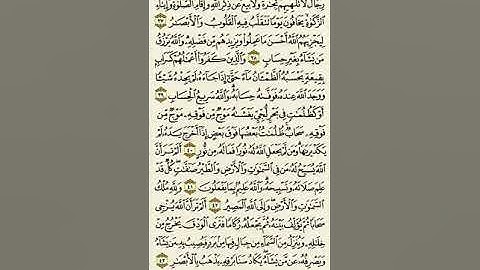 سورة النور من الآية ٣٧ إلى الآية ٤٣بصوت القارئ ماهر المعيقلي