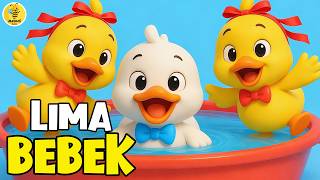 Download Lagu Lima Bebek Kecil Berenang, Cicak di Dinding - Kompilasi Lagu Anak \u0026 Balita Paling Viral Terpopuler MP3