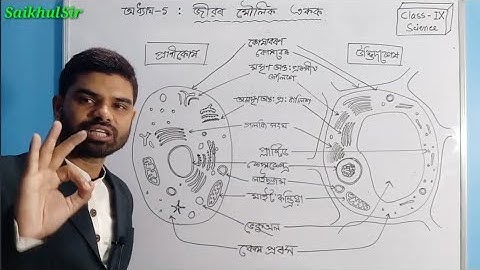 জীৱৰ মৌলিক একক - class 9 general science ll Chapter 5 part 03 ll Assamese Medium ll