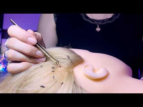 ASMR Plucking, ASMR Hair Bug Check🐝🪲& Gentle Plucking Roleplay 💆‍♀️ | Hair Inspection Sounds (2 Ver)