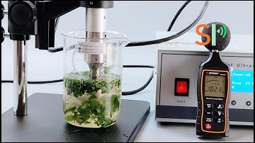 How Does Ultrasonic Homogenizer Redefine Leaves Extraction