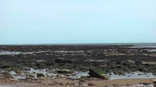 Residents of St. Mary's Island