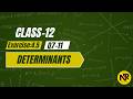 Class 12 Maths | Determinants Exercise 4.5 Q7–Q11 | Applications of Determinants | NR Maths Classes