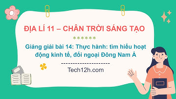 Giảng bài 14: Thực hành: Tìm hiểu hoạt động kinh tế, đối ngoại Đông Nam Á | Bài giảng Địa lí 11 CTST