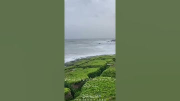 تلاوة جميلة للقارئ ناصر العنزي