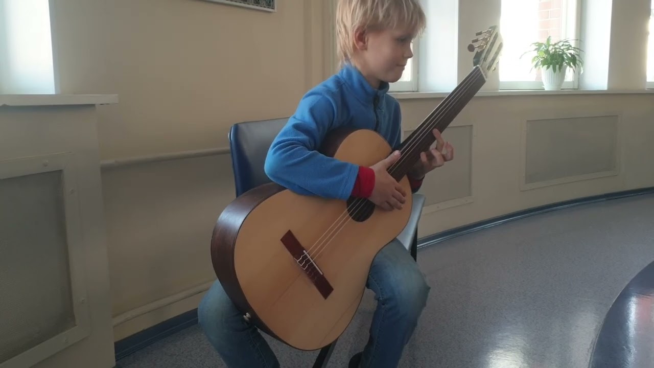 Amazing FRETLESS GUITAR - POLKA ROSITA