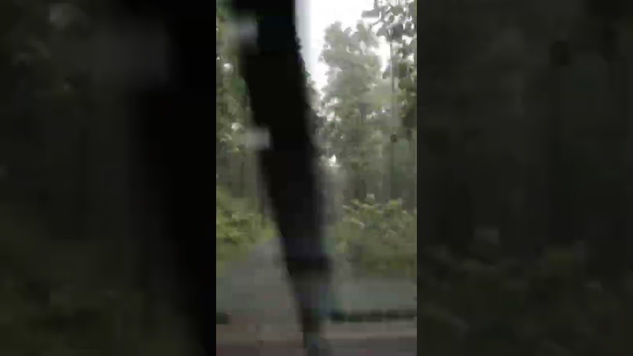 Nilambur teak forest | traveling status 