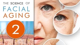 Markers of Facial Aging