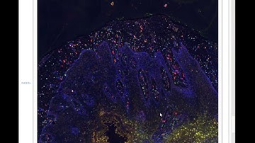 CZIReader for Mathematica on Raspberry Pi  in action