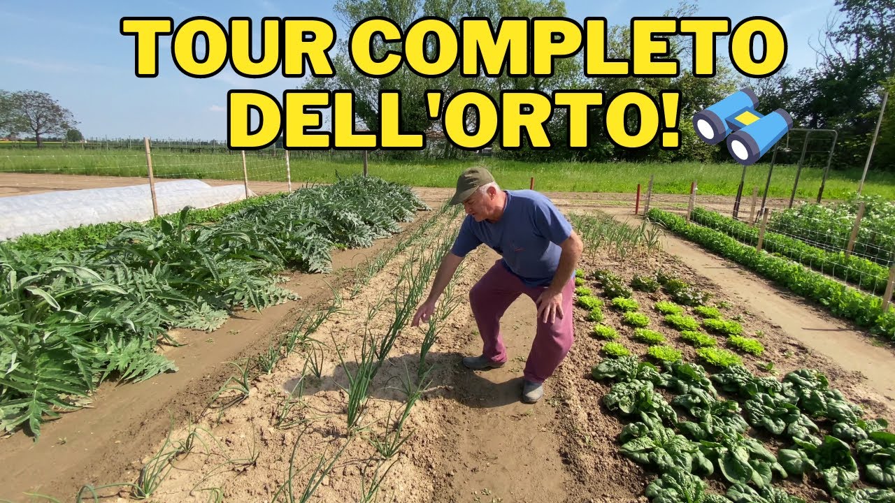 GIRO COMPLETO nel mio ORTO! Vi mostro tutte le COLTIVAZIONI!