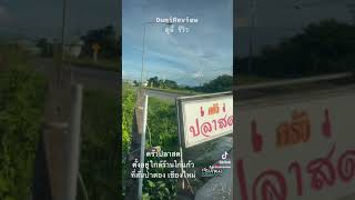 ครัวปลาสด สันป่าตอง เชียงใหม่