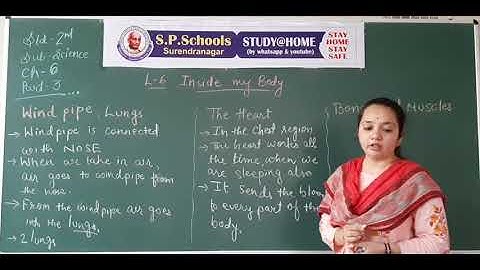 STD 2 CBSE | SCIENCE LEC 20 | S P SCHOOL SURENDRANAGAR