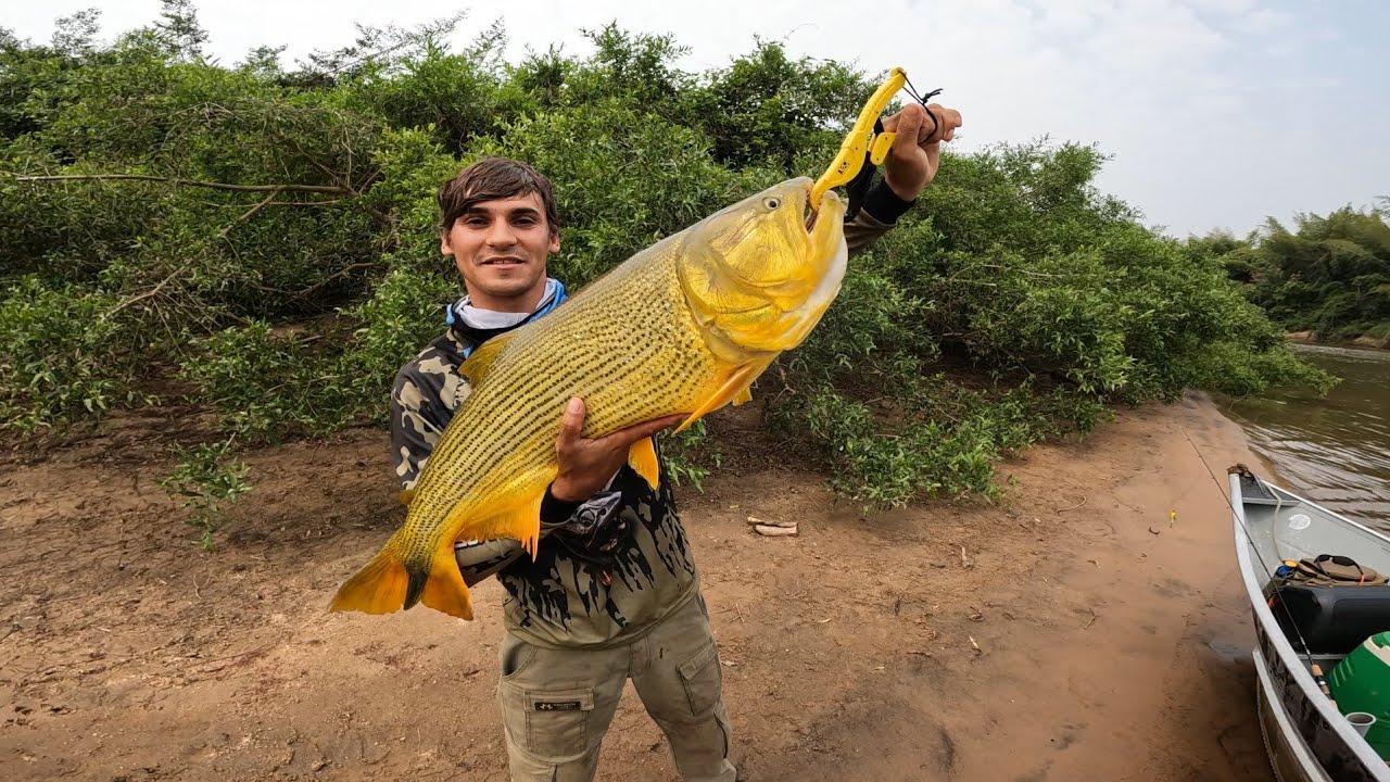 DOURADO GIGANTE MAIOR DA MINHA VIDA RECEBA OBRIGADO MEU DEUS!