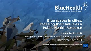 BlueHealth | An overview