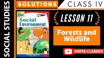 Forests and Wildlife Lesson 11 SST Class 4 Solutions | Question and Answers  Our Social Environment