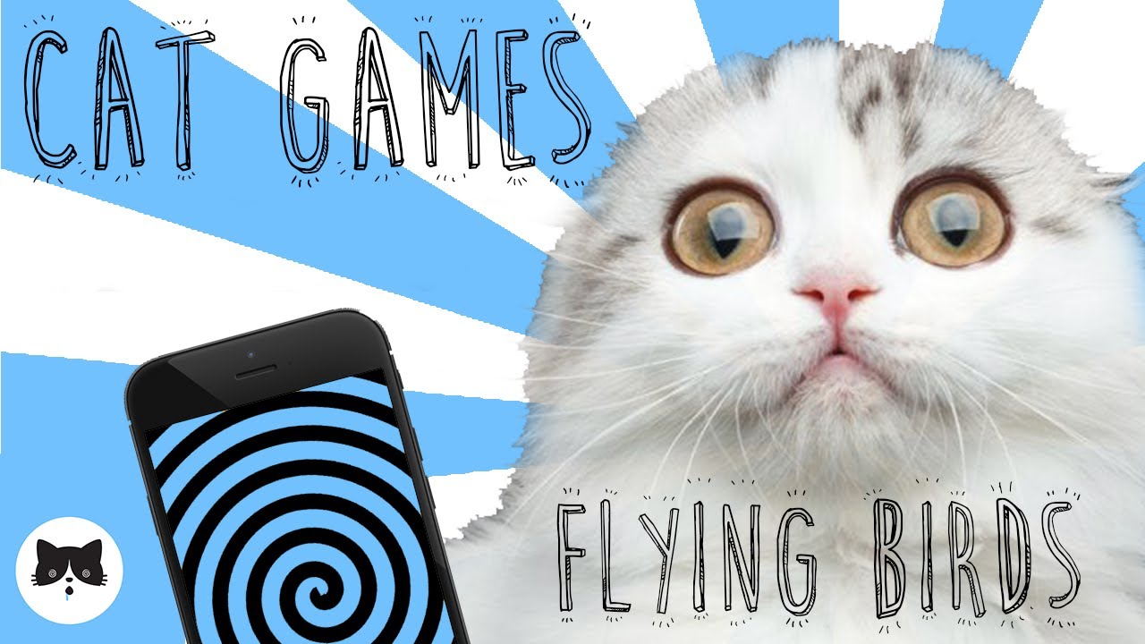 CAT GAMES Entertaining Videos for Cats FLYING BIRDS YouTube