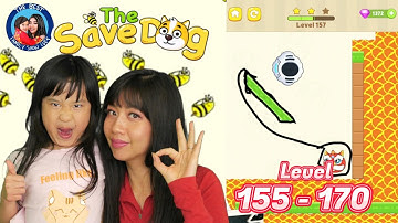 Save the Dog walkthrough Level 155 to 170.  Funny game with a lot of brain power!
