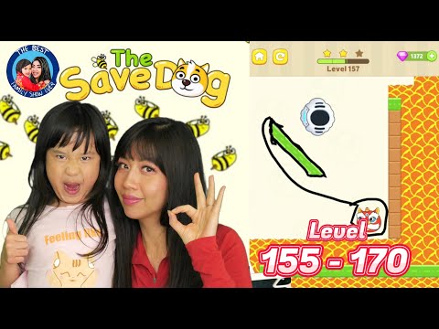 Save the Dog walkthrough Level 155 to 170. Funny game with a lot