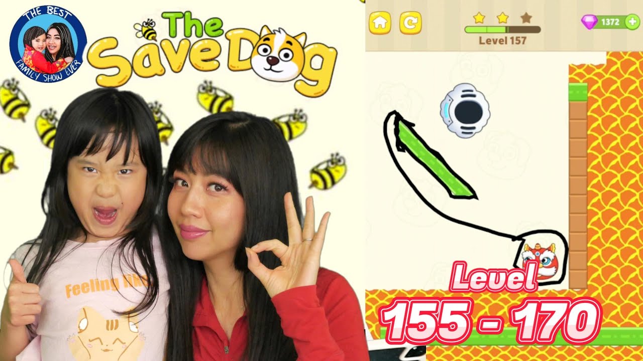 Save the Dog walkthrough Level 155 to 170. Funny game with a lot