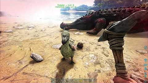 Dodo Kills A Crocodile In Ark