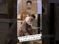 subhanallah video ko share karna 😍 #mashallah#subhanallah #allahuakbar #islamic #youtube #shortsfeed