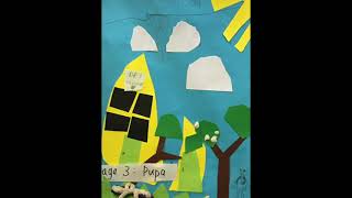 Firefly Stop Motion