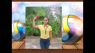 PE Week 16-17 BASIC OFFICIATING/VOLLEYBALL