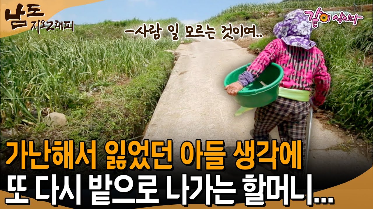 [남도지오그래피] 내가 돈을 안벌면 불안해 또 잃을까봐...가난해서 잃었던 아들 생각에 또 다시 밭으로 나가는 할머니... | KBS 2016.05.11