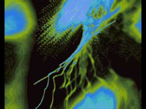 Soul Synthony - Icicle