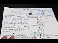 Prokaryotic Replication (Initiation)