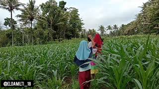 Download Lagu lagu anak \ MP3