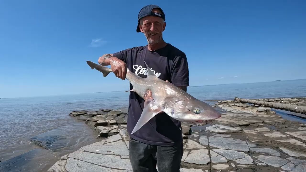 A FEW HOURS AT KILVE OVER LOW WATER 12 7 25..