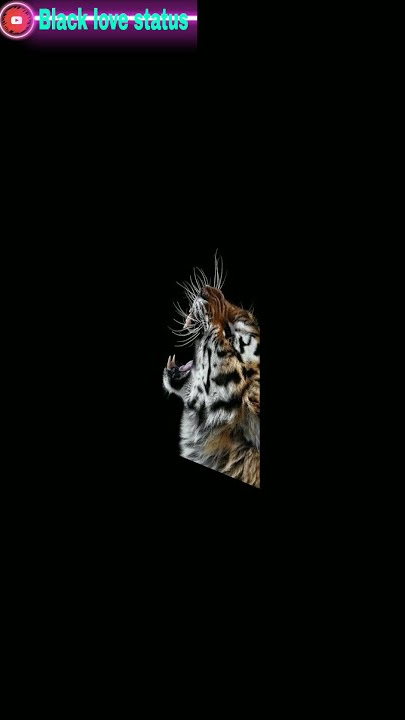🐯 Tiger Ringtone status whatsapp status king status Tiger #shorts #tiger #ringtone #viral #status
