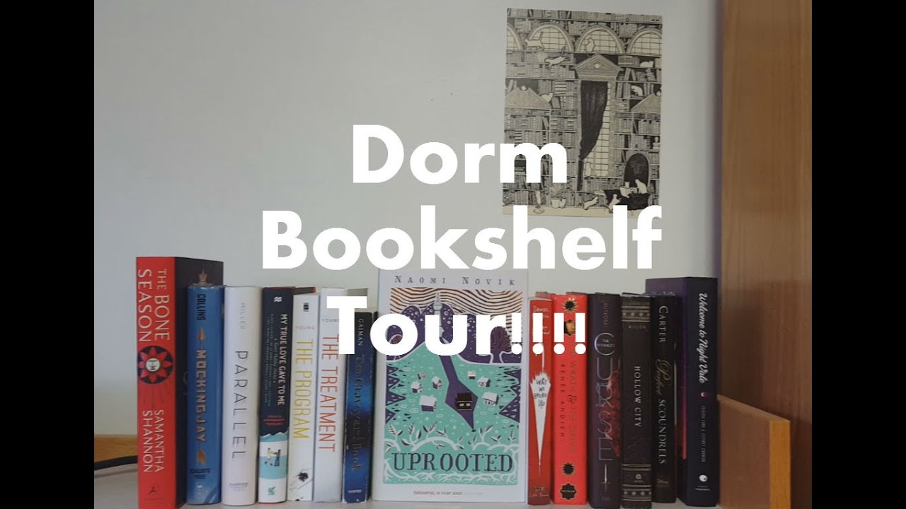 Dorm Bookshelf Tour